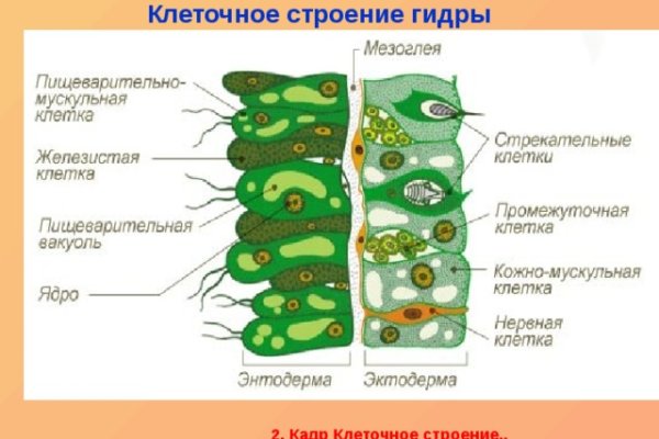 Как найти актуальную ссылку на кракен