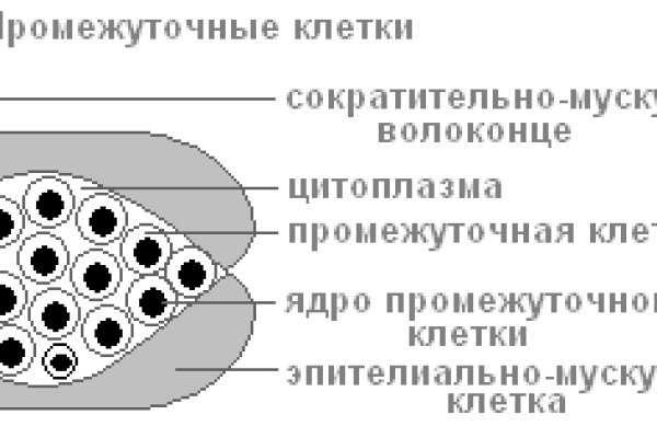 Кракен маркет даркнет только через тор