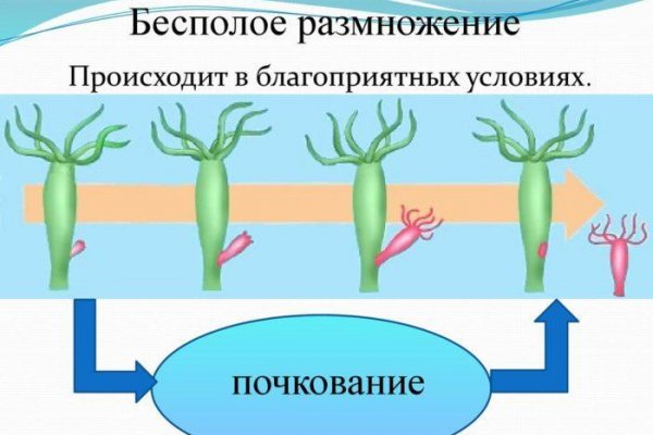 Ссылка на кракен шоп